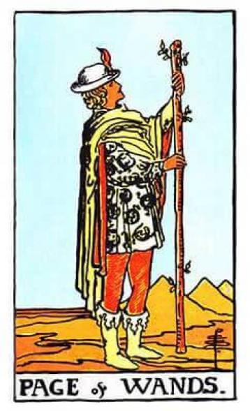 Carta de Tarot Valete, Pajem ou Príncipe de Paus 